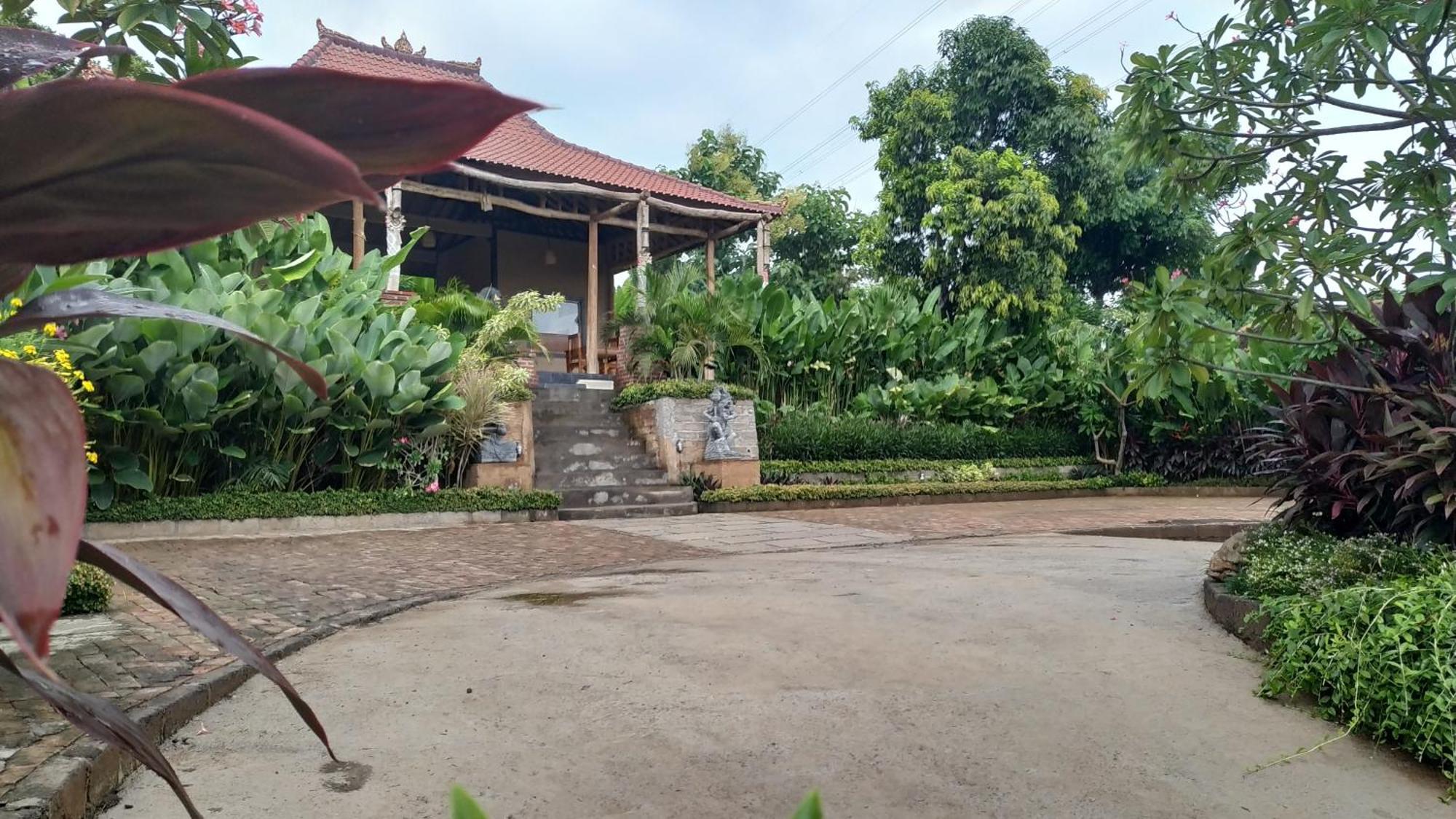 Eliska Sumberkima Pemuteran Exteriér fotografie